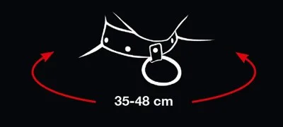 Bad Kitty halsband met rode hartjes, vijfde aanzicht