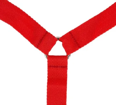 Bad Kitty bedboeien set rood, zesde aanzicht